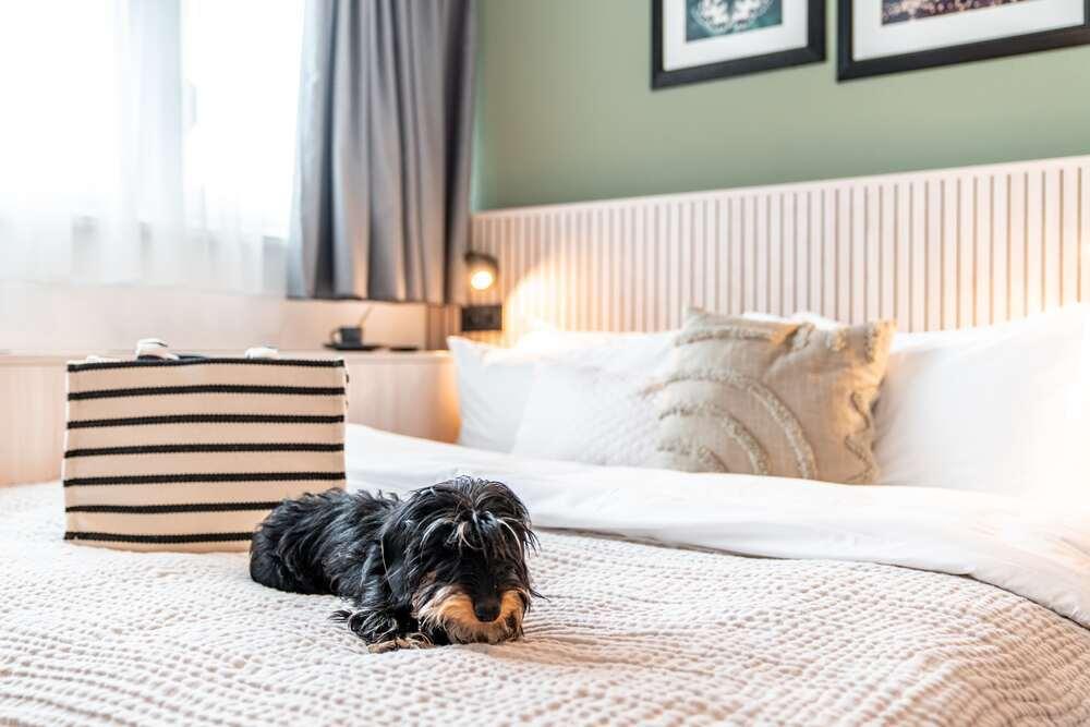 Stuub Hinterzarten Zimmer foto